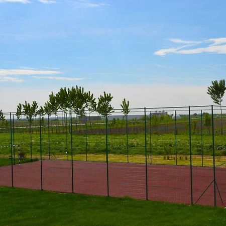 Pensiunea Georgia Lunguleţul Exterior foto